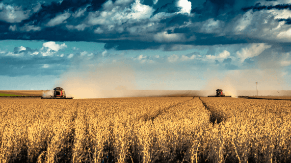 CNH un groupe industriel international spécialisé dans la conception et la fabrication d’équipements pour les secteurs de l’agriculture et de la construction.