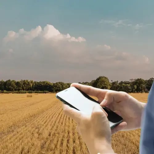 Application mobiles